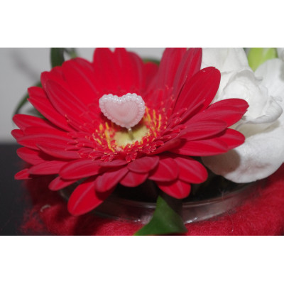 Gerbera rood met hartje